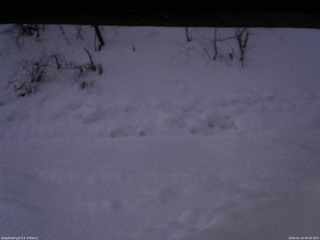 長野県菅平高原 ゆたか山荘 南側 2026/01/24 06:30