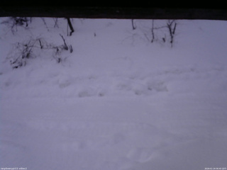 長野県菅平高原 ゆたか山荘 南側 2026/01/24 06:45