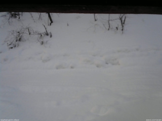 長野県菅平高原 ゆたか山荘 南側 2026/01/24 07:00