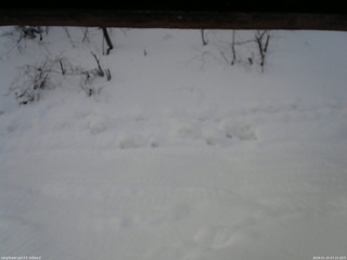 長野県菅平高原 ゆたか山荘 南側 2026/01/24 07:15