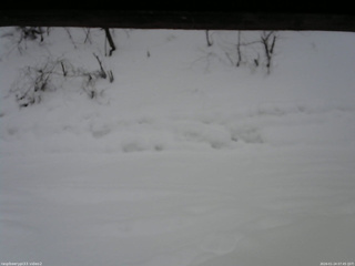 長野県菅平高原 ゆたか山荘 南側 2026/01/24 07:45