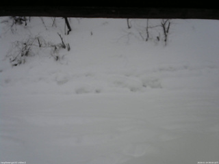 長野県菅平高原 ゆたか山荘 南側 2026/01/24 08:00