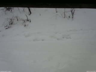 長野県菅平高原 ゆたか山荘 南側 2026/01/24 08:15