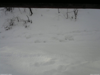 長野県菅平高原 ゆたか山荘 南側 2026/01/24 08:30