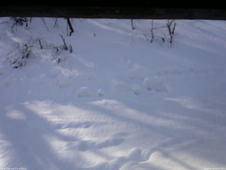 長野県菅平高原 ゆたか山荘 南側 2026/01/24 09:15