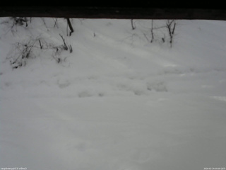 長野県菅平高原 ゆたか山荘 南側 2026/01/24 09:30