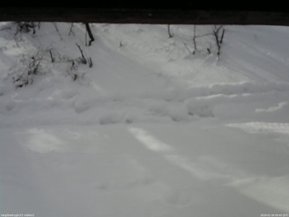 長野県菅平高原 ゆたか山荘 南側 2026/01/24 09:45