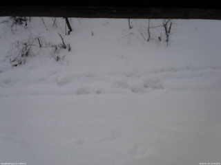 長野県菅平高原 ゆたか山荘 南側 2026/01/24 10:00