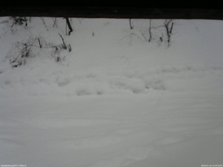 長野県菅平高原 ゆたか山荘 南側 2026/01/24 10:45