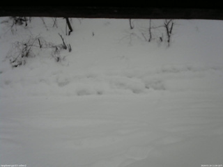 長野県菅平高原 ゆたか山荘 南側 2026/01/24 11:00