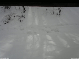 長野県菅平高原 ゆたか山荘 南側 2026/01/24 11:30