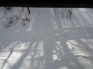 長野県菅平高原 ゆたか山荘 南側 2026/01/24 11:45