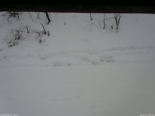 長野県菅平高原 ゆたか山荘 南側 2026/01/24 12:00