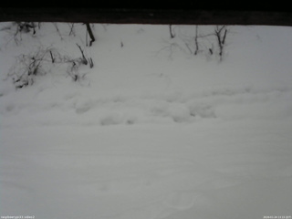 長野県菅平高原 ゆたか山荘 南側 2026/01/24 13:15