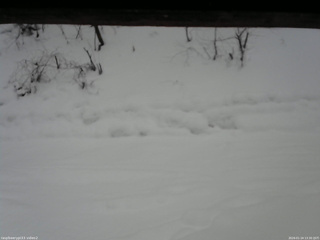 長野県菅平高原 ゆたか山荘 南側 2026/01/24 13:30