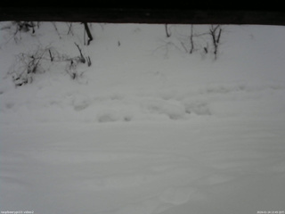 長野県菅平高原 ゆたか山荘 南側 2026/01/24 13:45