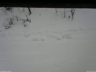 長野県菅平高原 ゆたか山荘 南側 2026/01/24 14:00