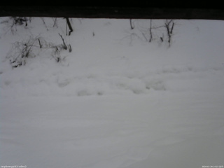 長野県菅平高原 ゆたか山荘 南側 2026/01/24 14:15