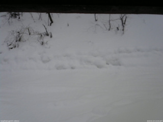 長野県菅平高原 ゆたか山荘 南側 2026/01/24 14:45