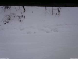 長野県菅平高原 ゆたか山荘 南側 2026/01/24 16:00