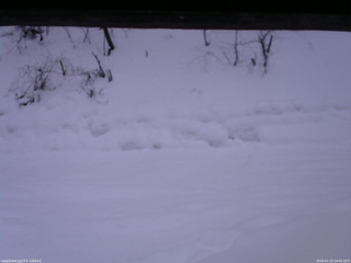 長野県菅平高原 ゆたか山荘 南側 2026/01/24 16:45