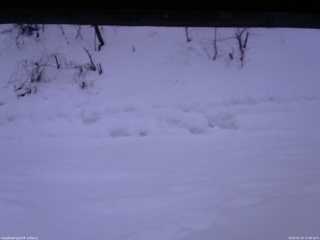 長野県菅平高原 ゆたか山荘 南側 2026/01/24 17:00