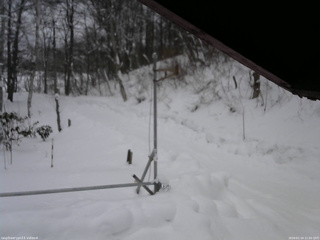 長野県菅平高原 ゆたか山荘 東側(坂下) 2026/01/24 11:00