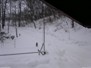 長野県菅平高原 ゆたか山荘 東側(坂下) 2026/01/24 15:45