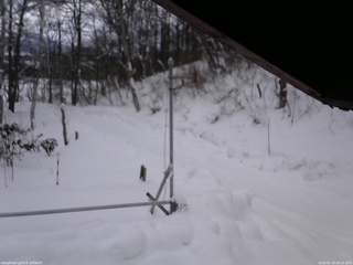 長野県菅平高原 ゆたか山荘 東側(坂下) 2026/01/24 16:15
