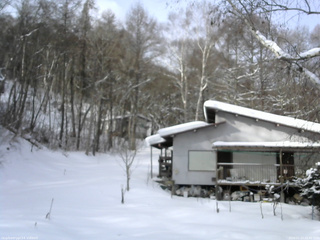 長野県菅平高原 ゆたか山荘 西側(坂上) 2026/01/24 09:45