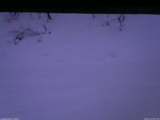 長野県菅平高原 ゆたか山荘 南側 2026/01/25 06:30