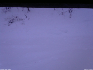 長野県菅平高原 ゆたか山荘 南側 2026/01/25 06:45