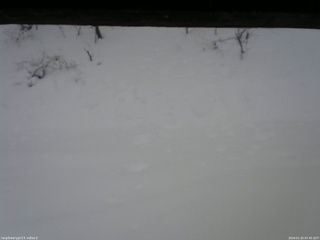 長野県菅平高原 ゆたか山荘 南側 2026/01/25 07:45