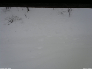 長野県菅平高原 ゆたか山荘 南側 2026/01/25 08:15