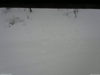 長野県菅平高原 ゆたか山荘 南側 2026/01/25 08:30