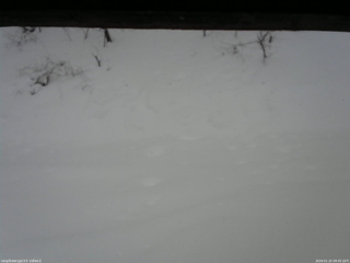 長野県菅平高原 ゆたか山荘 南側 2026/01/25 08:45