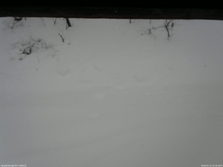 長野県菅平高原 ゆたか山荘 南側 2026/01/25 10:30