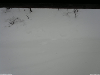 長野県菅平高原 ゆたか山荘 南側 2026/01/25 10:45