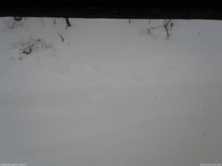 長野県菅平高原 ゆたか山荘 南側 2026/01/25 11:00