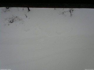 長野県菅平高原 ゆたか山荘 南側 2026/01/25 12:00