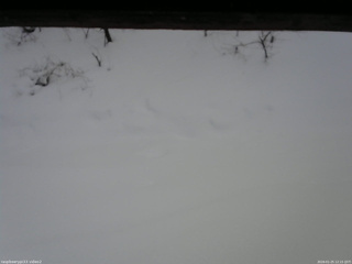 長野県菅平高原 ゆたか山荘 南側 2026/01/25 12:15