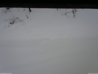 長野県菅平高原 ゆたか山荘 南側 2026/01/25 12:45