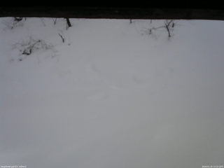 長野県菅平高原 ゆたか山荘 南側 2026/01/25 13:15