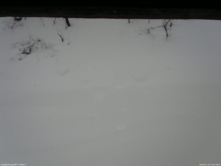 長野県菅平高原 ゆたか山荘 南側 2026/01/25 13:45