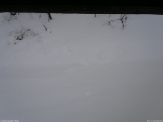 長野県菅平高原 ゆたか山荘 南側 2026/01/25 14:00