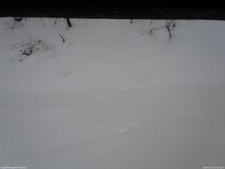 長野県菅平高原 ゆたか山荘 南側 2026/01/25 14:15