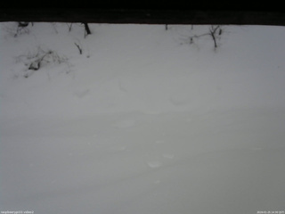 長野県菅平高原 ゆたか山荘 南側 2026/01/25 14:30