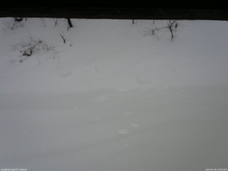 長野県菅平高原 ゆたか山荘 南側 2026/01/25 15:00