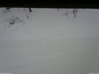 長野県菅平高原 ゆたか山荘 南側 2026/01/25 15:15