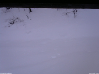 長野県菅平高原 ゆたか山荘 南側 2026/01/25 15:30